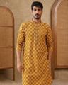 Embroidered Regular Fit Kurta & Pyjamas Set