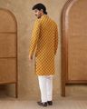 Embroidered Regular Fit Kurta & Pyjamas Set