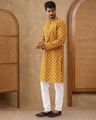 Embroidered Regular Fit Kurta & Pyjamas Set