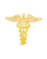 Men Meenakari Enamel Doctor Brooch