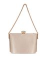 Women Embellished Clutch with Chain Strap